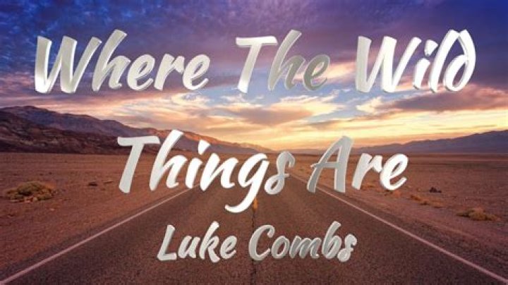 Where The Wild Things Are: The Meaning Behind The Iconic Song